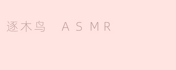 逐木鸟 ASMR：感受来自大自然的宁静